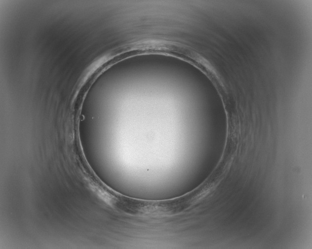 X0000080661075200612151125