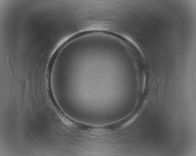 X0000080661077200612151125