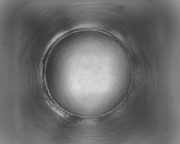 X0000080661078200612151125