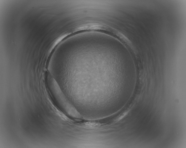 X0000080661081200612151125