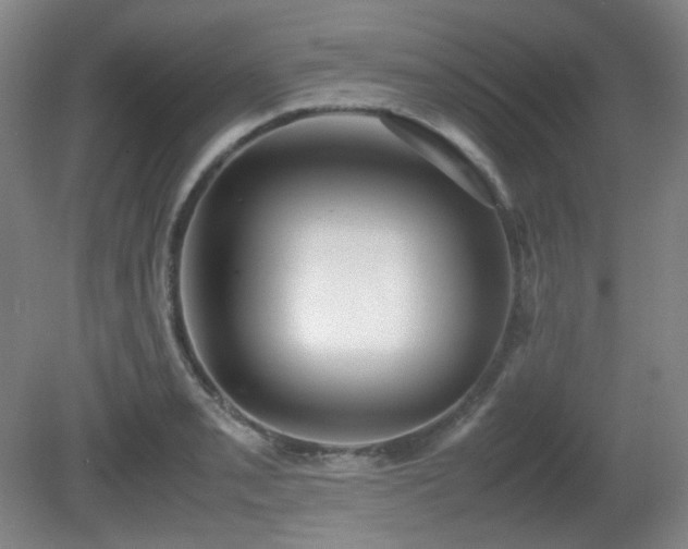 X0000080661085200612151125