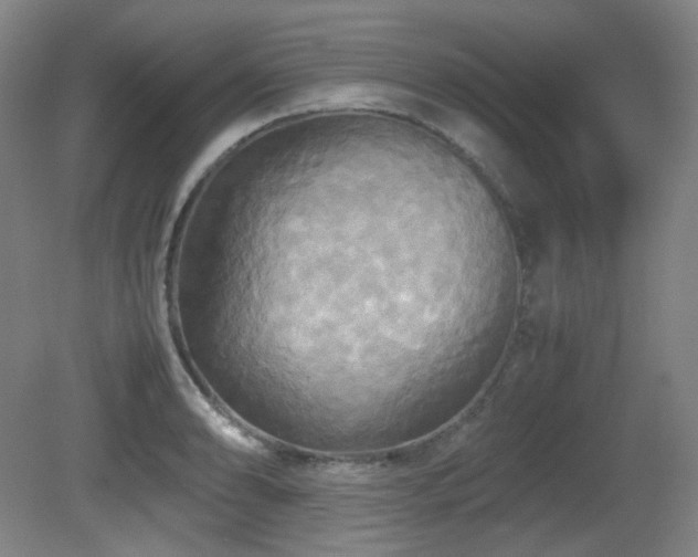 X0000080661086200612151125