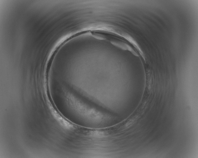 X0000080661088200612151125