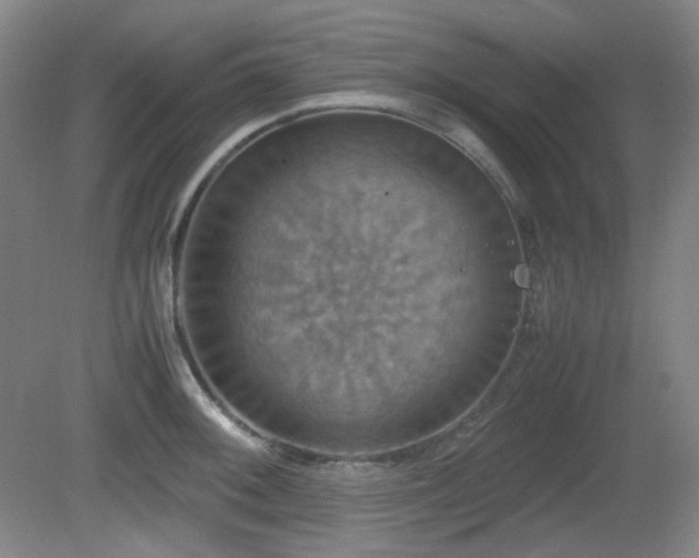 X0000080661092200612151125