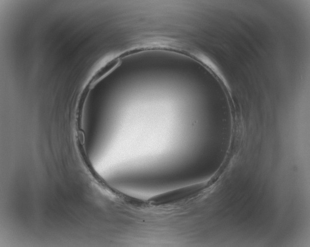 X0000080661093200612151125
