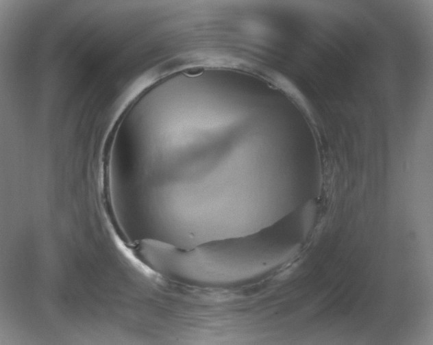 X0000080661095200612151125