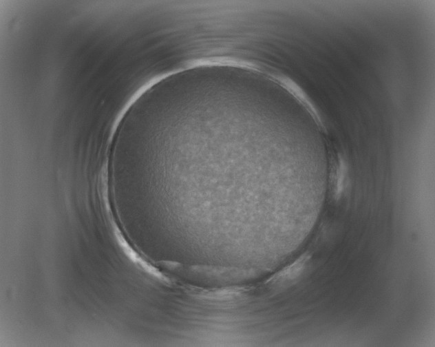 X0000080661100200612151125