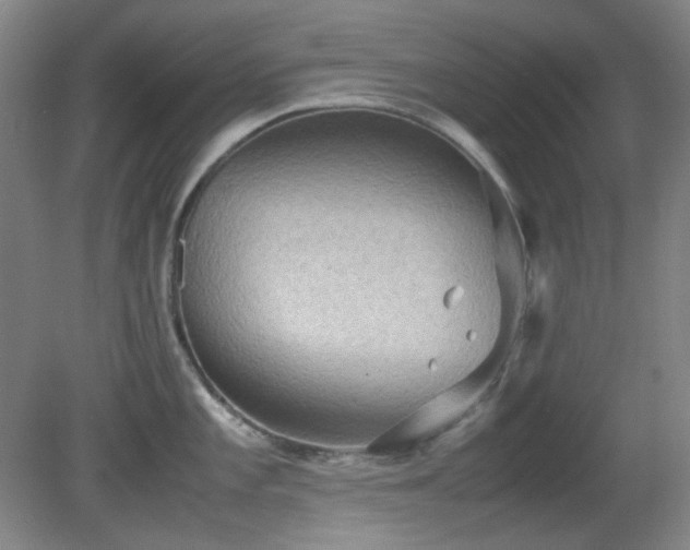 X0000080661101200612151125