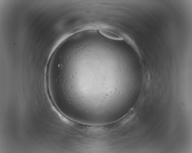 X0000080661103200612151124
