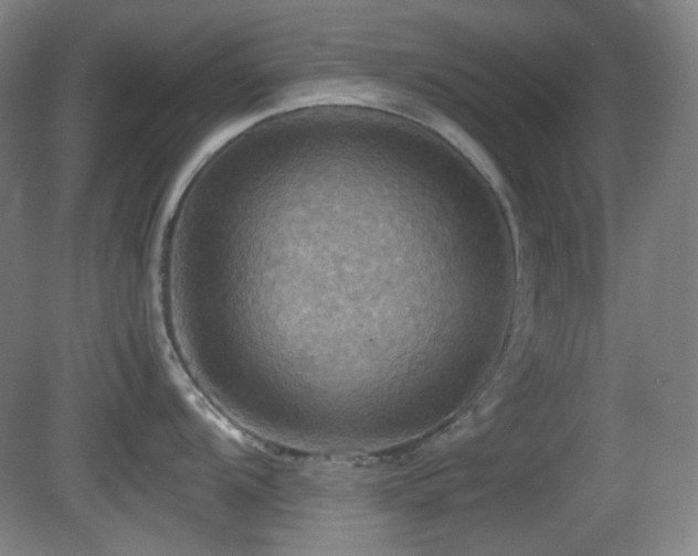 X0000080661104200612151124