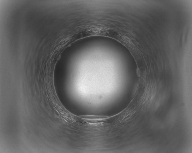 X0000080661105200612151124