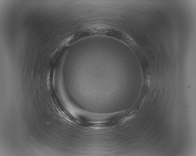 X0000080661108200612151124