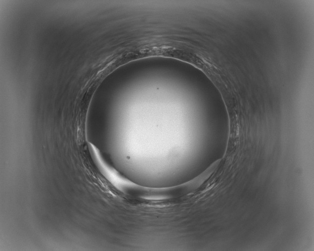 X0000080661109200612151124