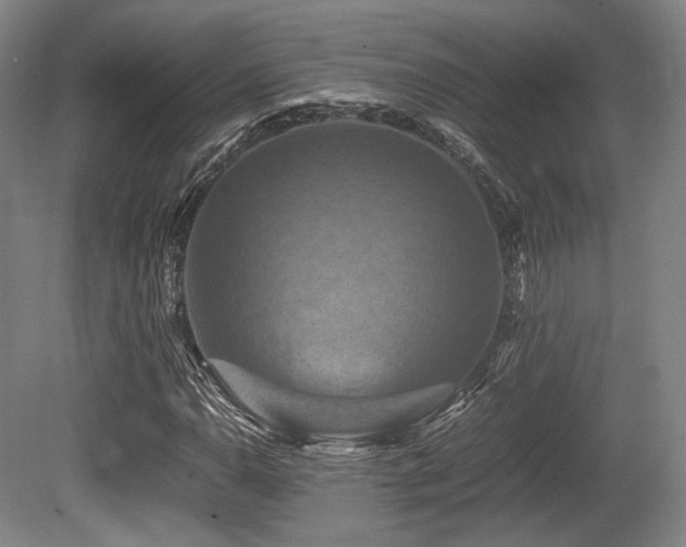 X0000080661110200612151124