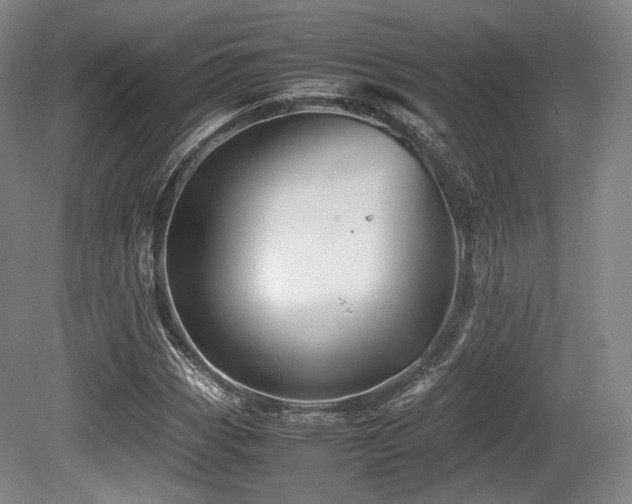 X0000080661113200612151124