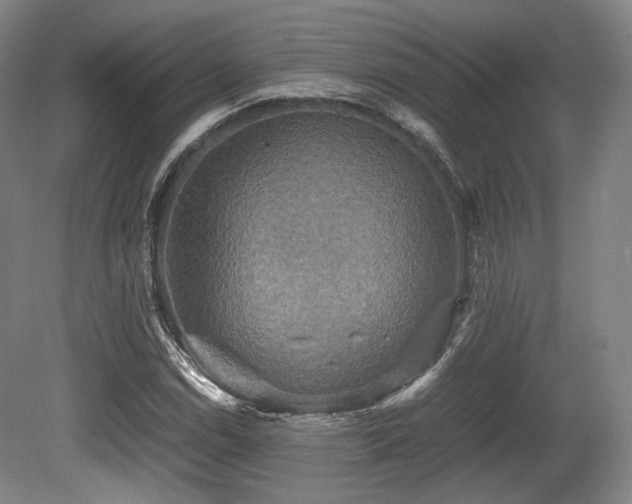 X0000080661114200612151124