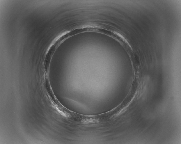 X0000080661117200612151124