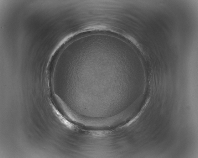 X0000080661118200612151124