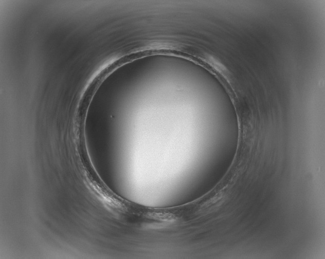 X0000080661119200612151124