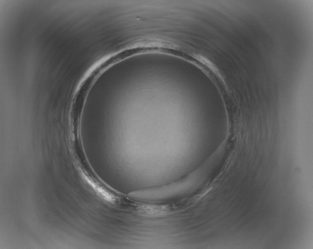 X0000080661120200612151124
