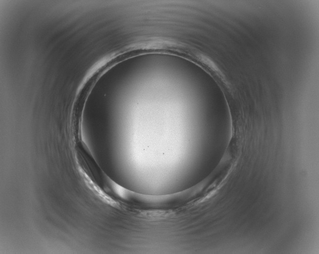 X0000080661122200612151124