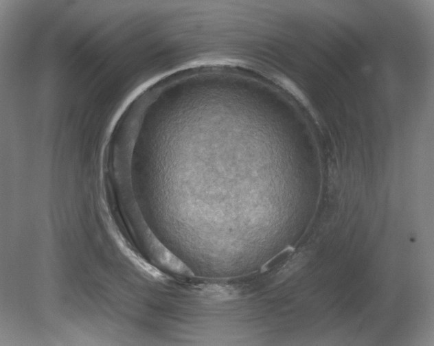 X0000080661124200612151124