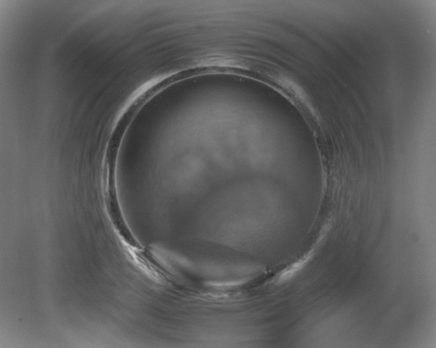 X0000080661125200612151124