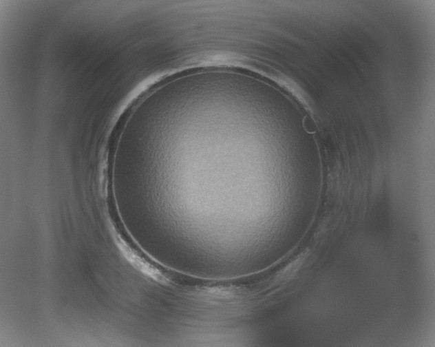 X0000080661126200612151124