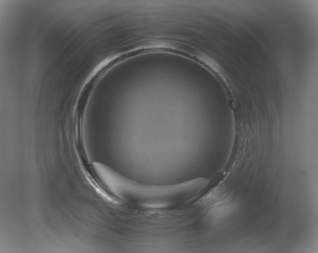X0000080661127200612151124