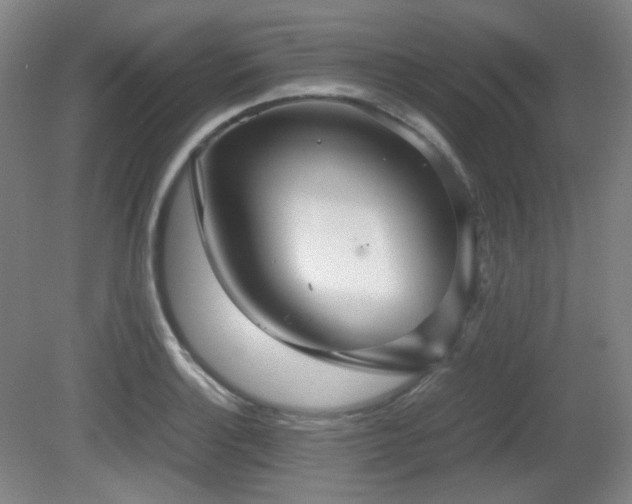 X0000080661132200612151124