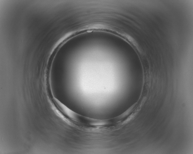 X0000080661134200612151124