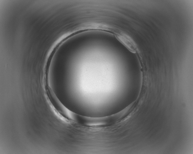X0000080661136200612151124