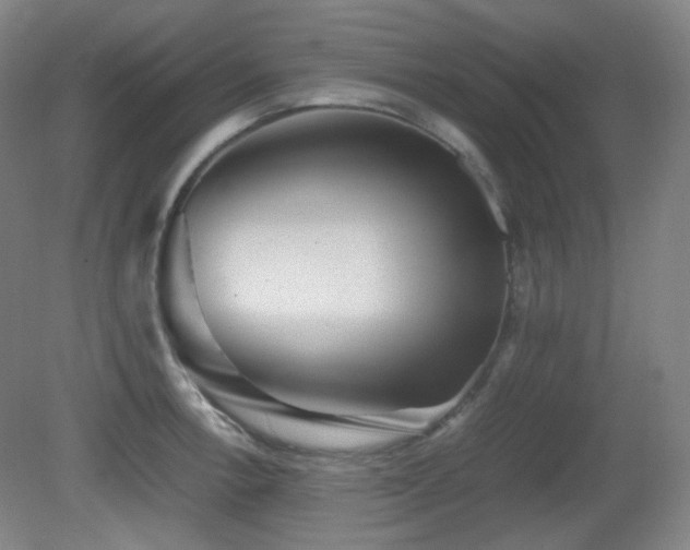 X0000080661138200612151124