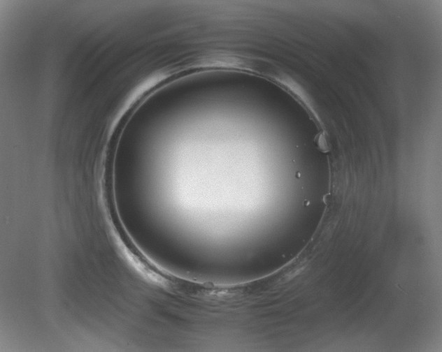 X0000080661139200612151124