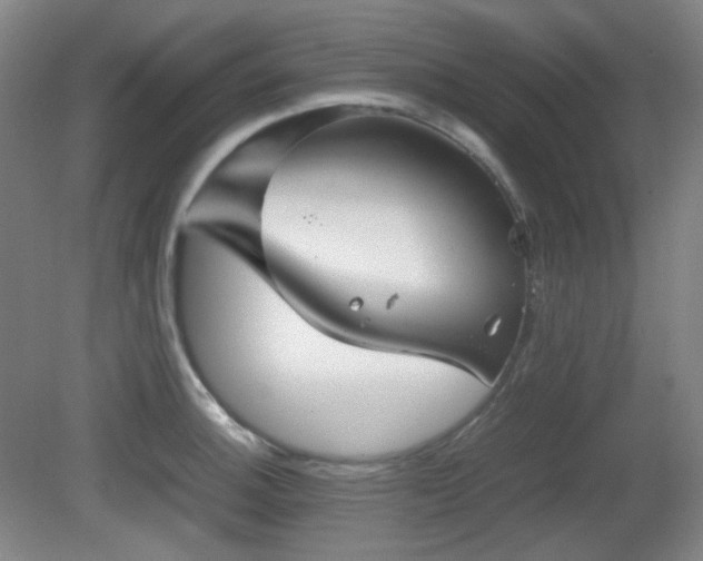 X0000080661140200612151124