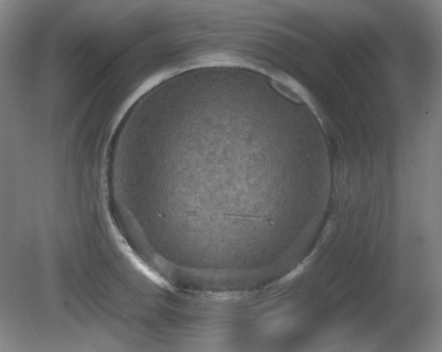 X0000080661142200612151124