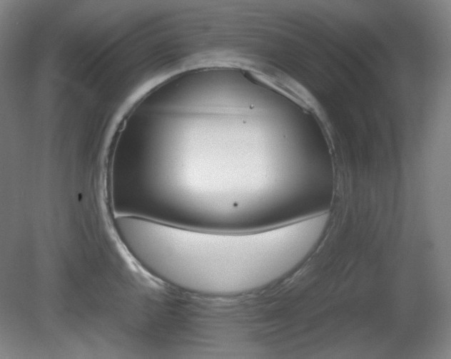 X0000080661144200612151124