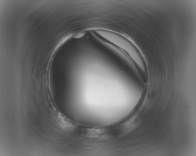 X0000080661145200612151124