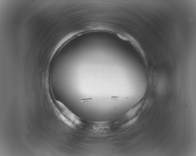 X0000080661149200612151124