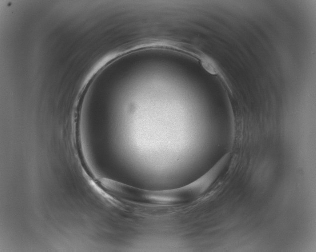 X0000080661151200612151124