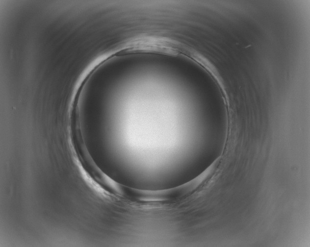 X0000080661152200612151124