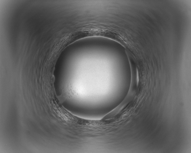 X0000080661153200612151124