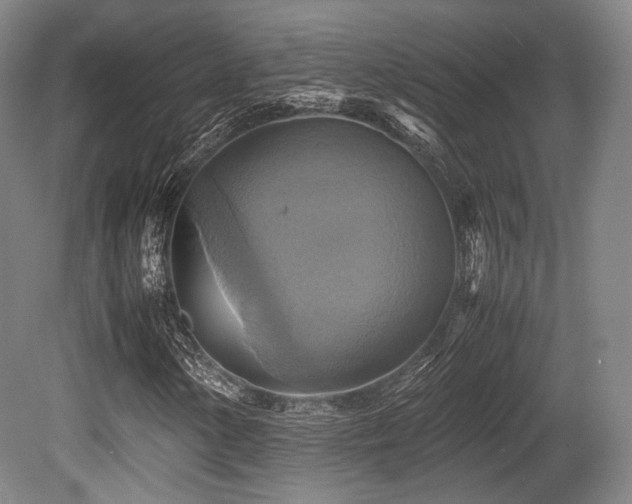 X0000080661154200612151124