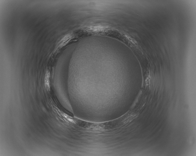 X0000080661156200612151124