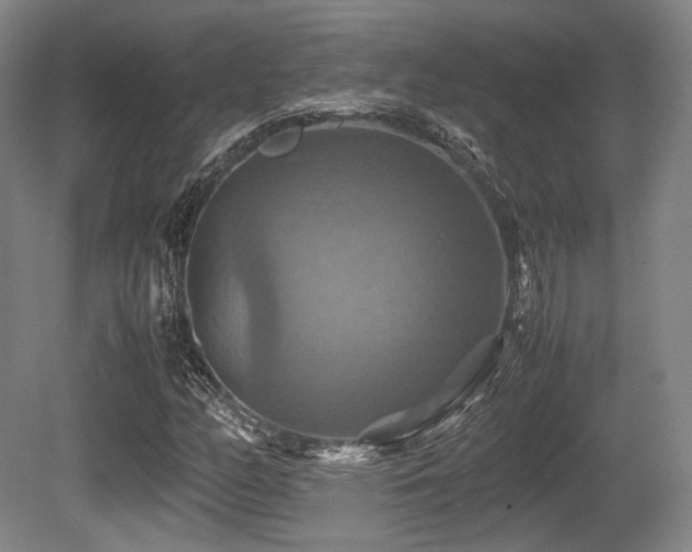 X0000080661158200612151124