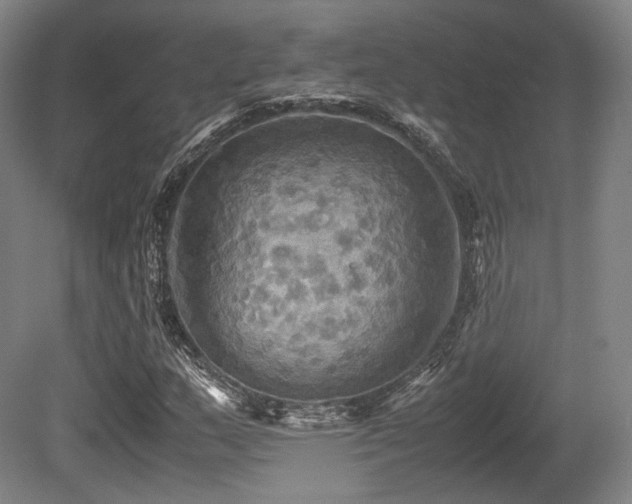 X0000080661159200612151124