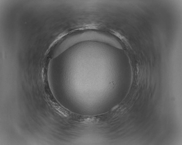 X0000080661160200612151124