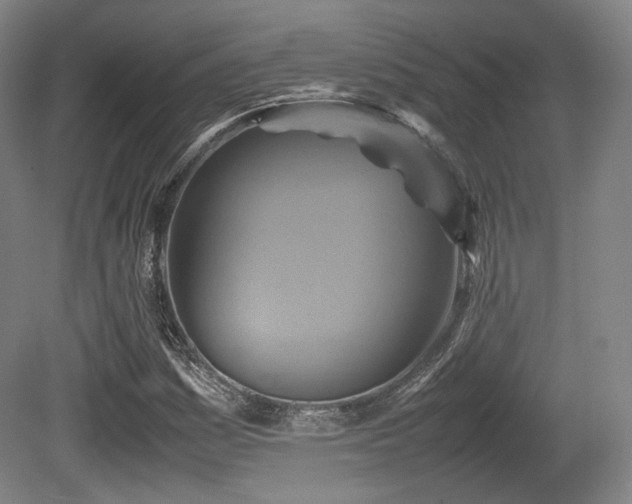 X0000080661161200612151123