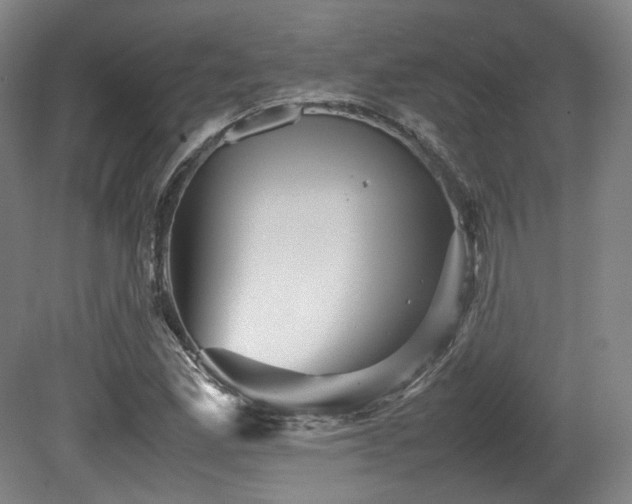 X0000080661165200612151123