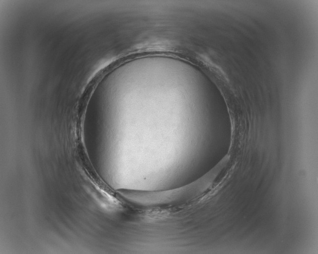 X0000080661166200612151123